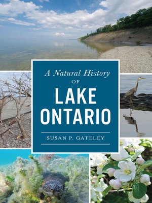 cover image of A Natural History of Lake Ontario